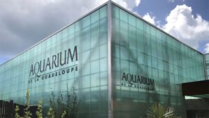 Aquarium - Gosier (971) FR - AkyVer® Connect 25 Multiwall Polycarbonate Cladding - Connectable System | Architect: Bruno Jofa